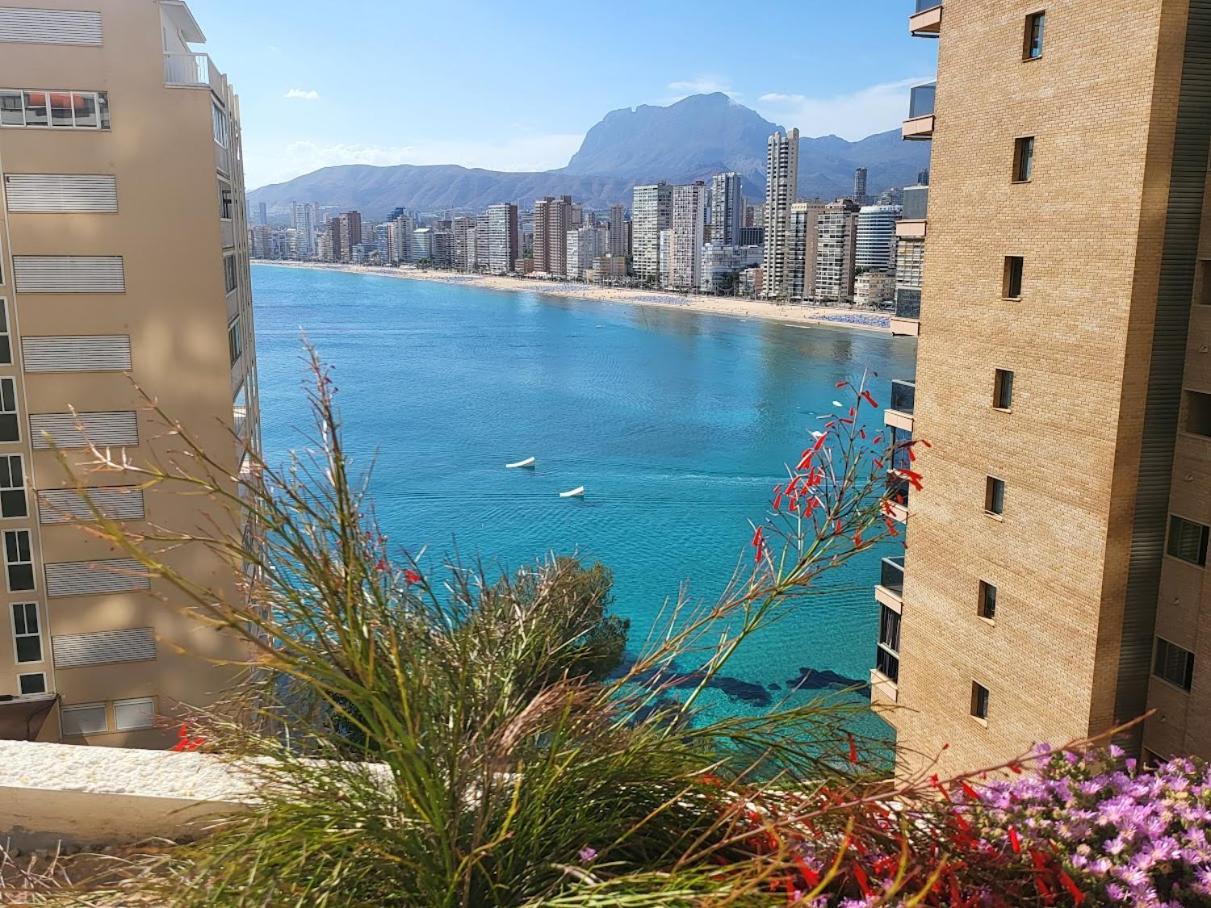Trinisol II Private Apartments With Sea View 貝尼多姆 外观 照片